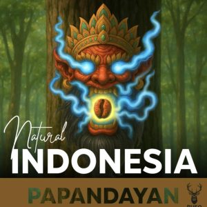 Endonezya Papandayan